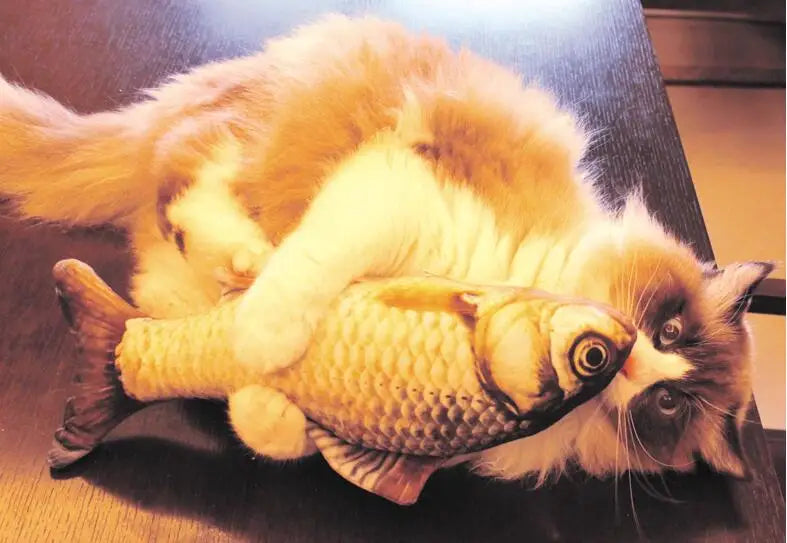 FinFreenzy Cat Toy
