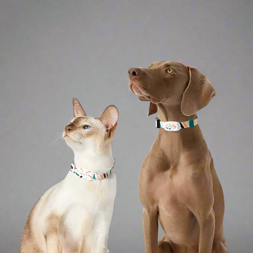 Petkit Smart Dog/Cat Collars