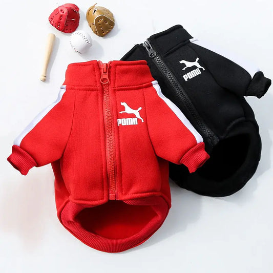 Puma Hoodie