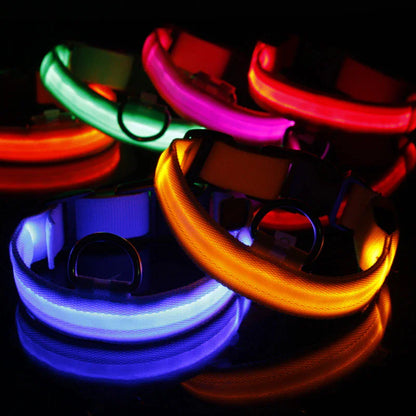 GlowSafe LED Dog Collar