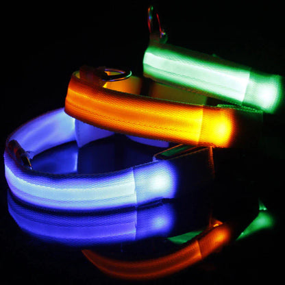 GlowSafe LED Dog Collar