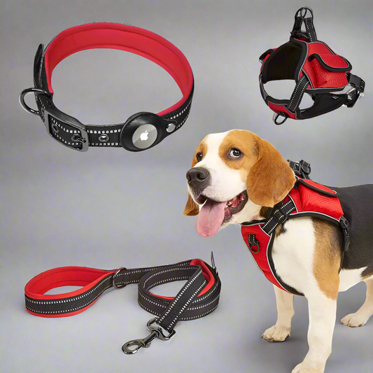 Airtag Pet Harness Vest Set