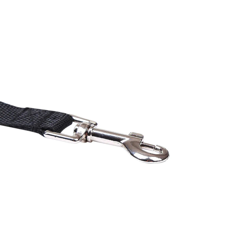 Ultimate Training Leash