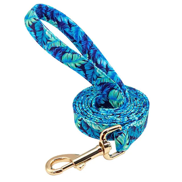 Custom Pet Collar & Leash Combo