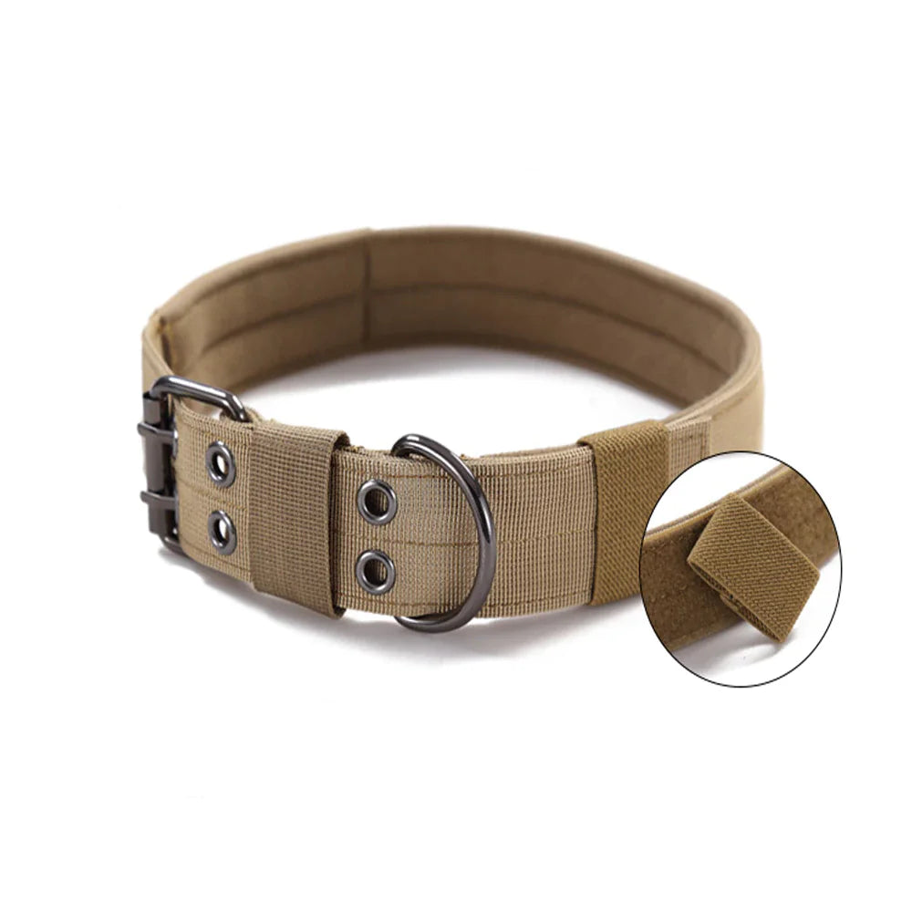 Combat Dog Collar