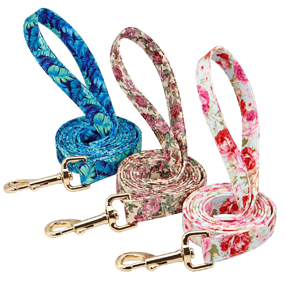 Custom Pet Collar & Leash Combo