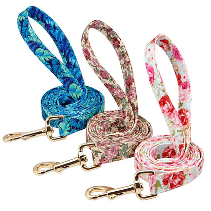 Custom Pet Collar & Leash Combo