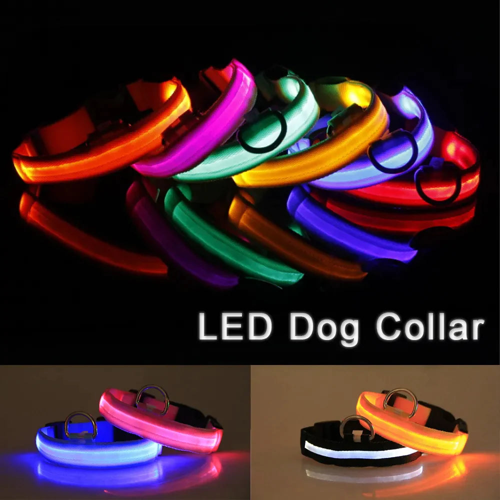 GlowSafe LED Dog Collar