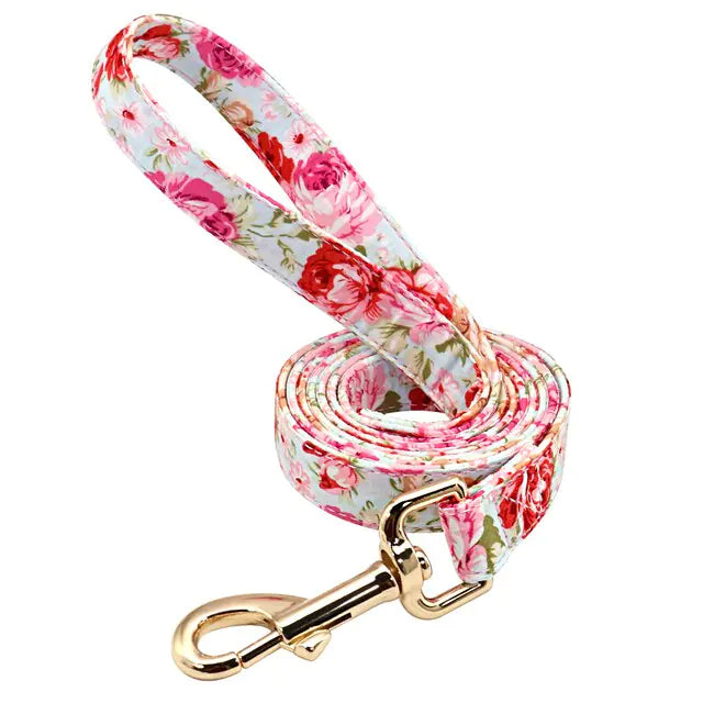 Custom Pet Collar & Leash Combo