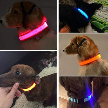 GlowSafe LED Dog Collar