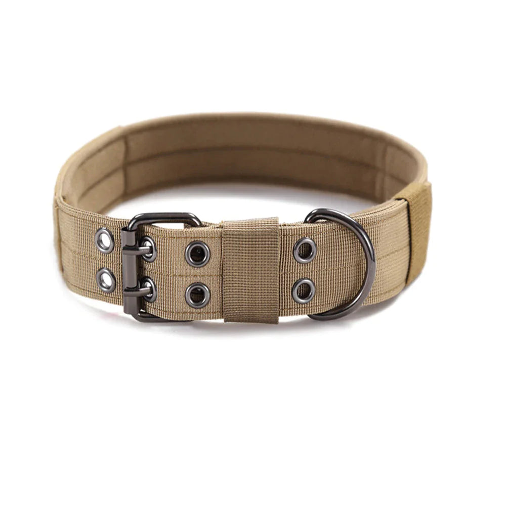 Combat Dog Collar