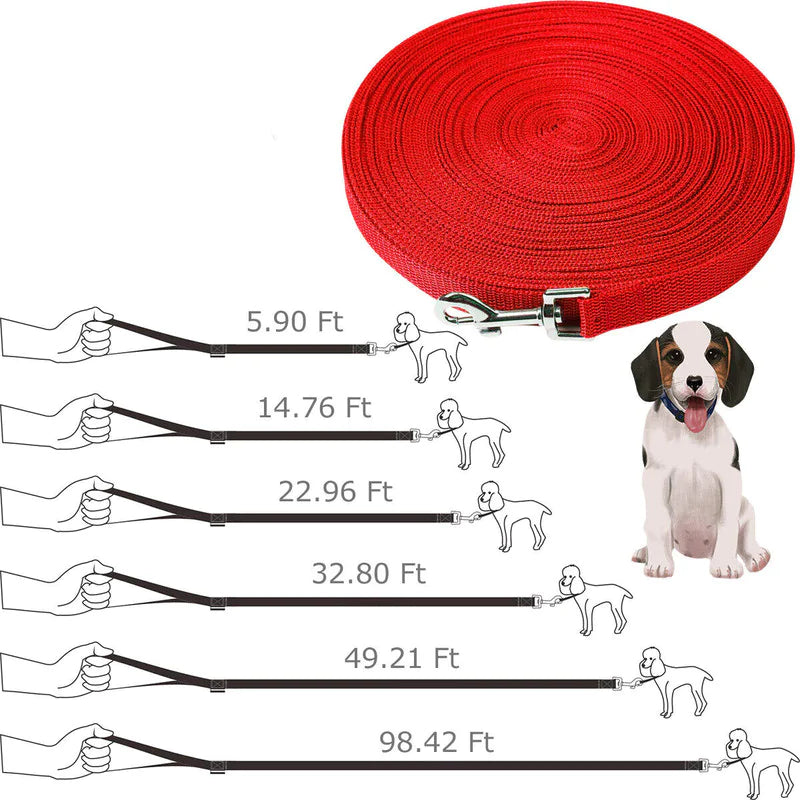 Ultimate Training Leash