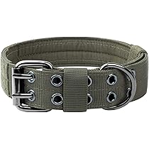 Combat Dog Collar