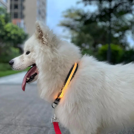 SparkGlow Collar