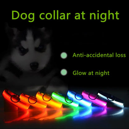 GlowSafe LED Dog Collar