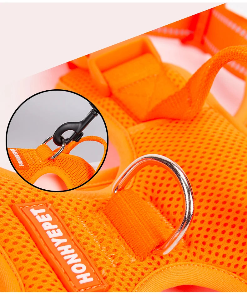 AntiTug Harness