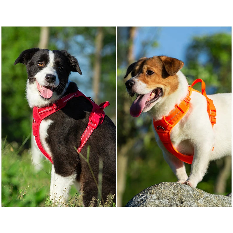 AntiTug Harness