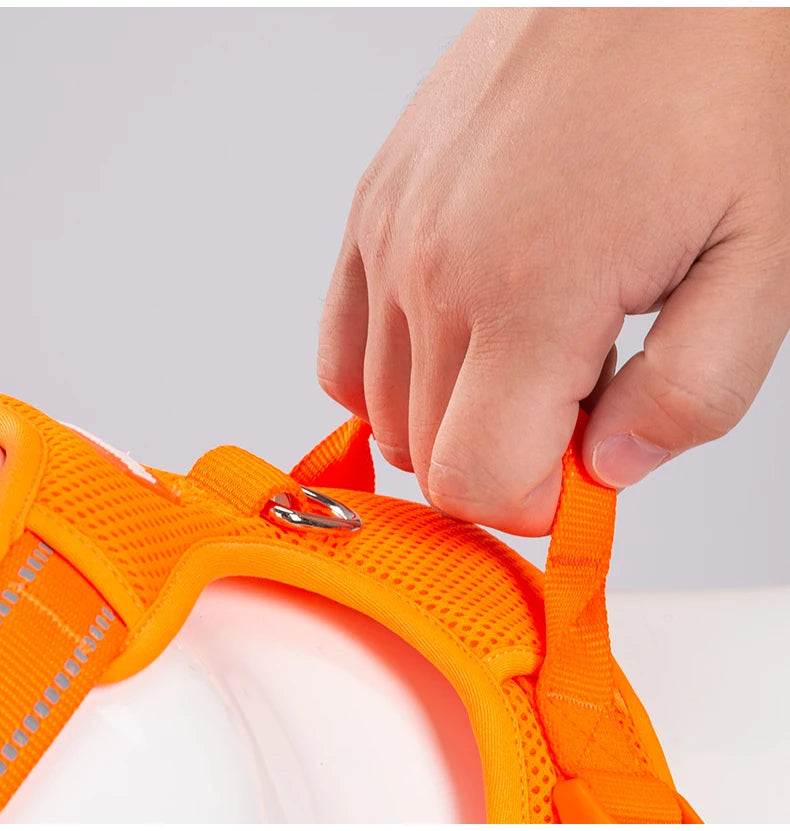 AntiTug Harness
