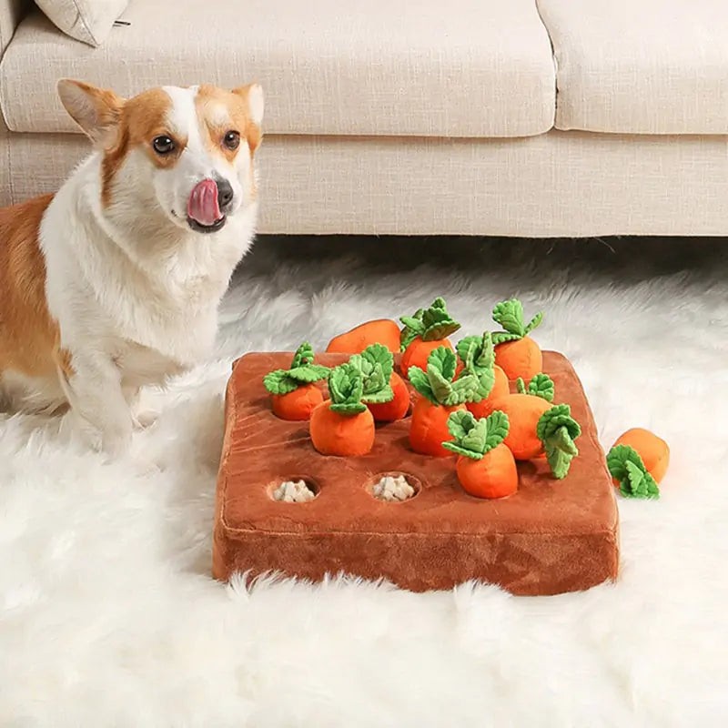 Vegetable Pet Toy