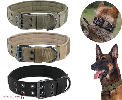 Combat Dog Collar