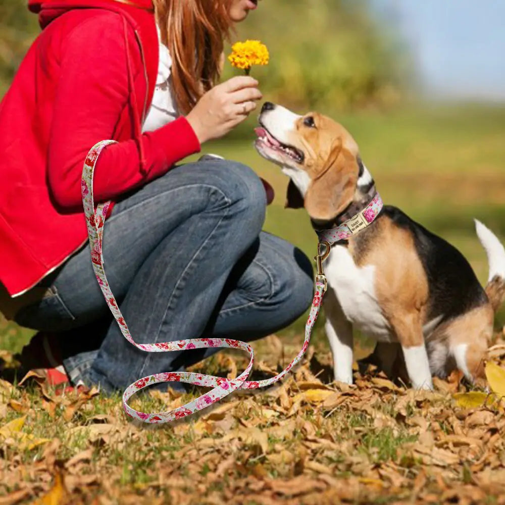 Custom Pet Collar & Leash Combo