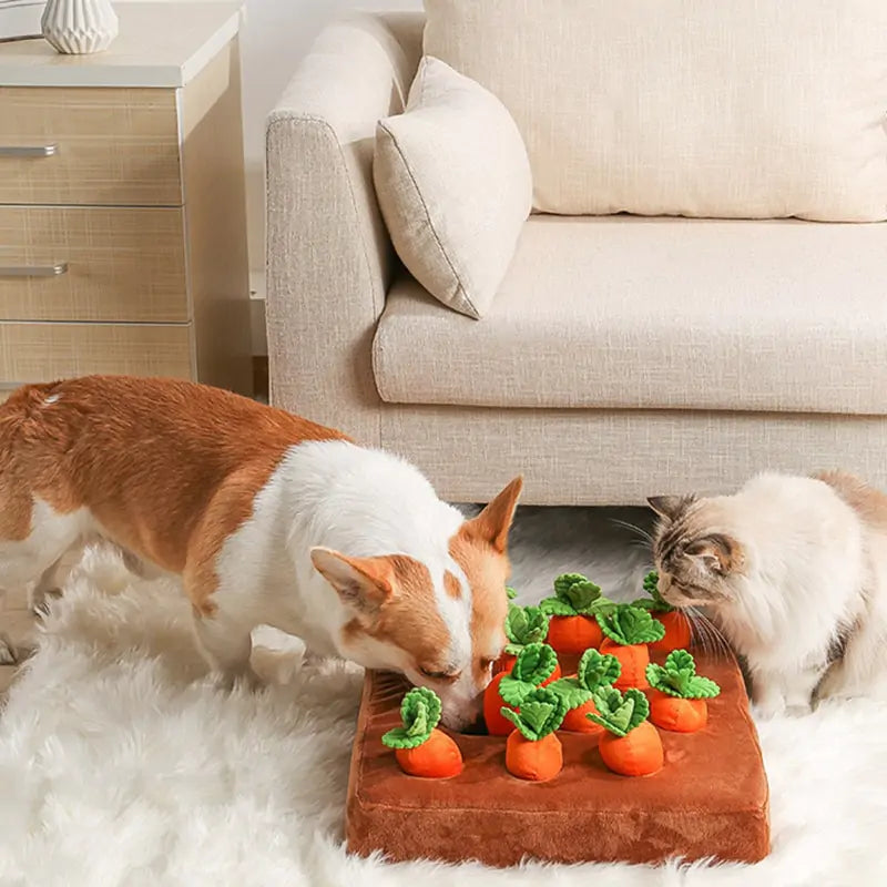 Vegetable Pet Toy