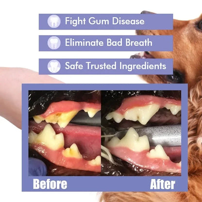 Dog Pet Oral Care Spray Teeth Cleaning Pet Tooth Whitening Remove Bad Breath Keep Fresh Breath Remove Tooth Stains For Cats Dogs