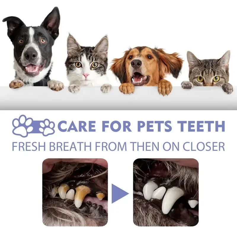 Dog Pet Oral Care Spray Teeth Cleaning Pet Tooth Whitening Remove Bad Breath Keep Fresh Breath Remove Tooth Stains For Cats Dogs