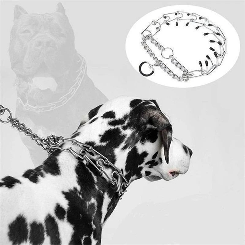 PawCommand Dog Training Chain