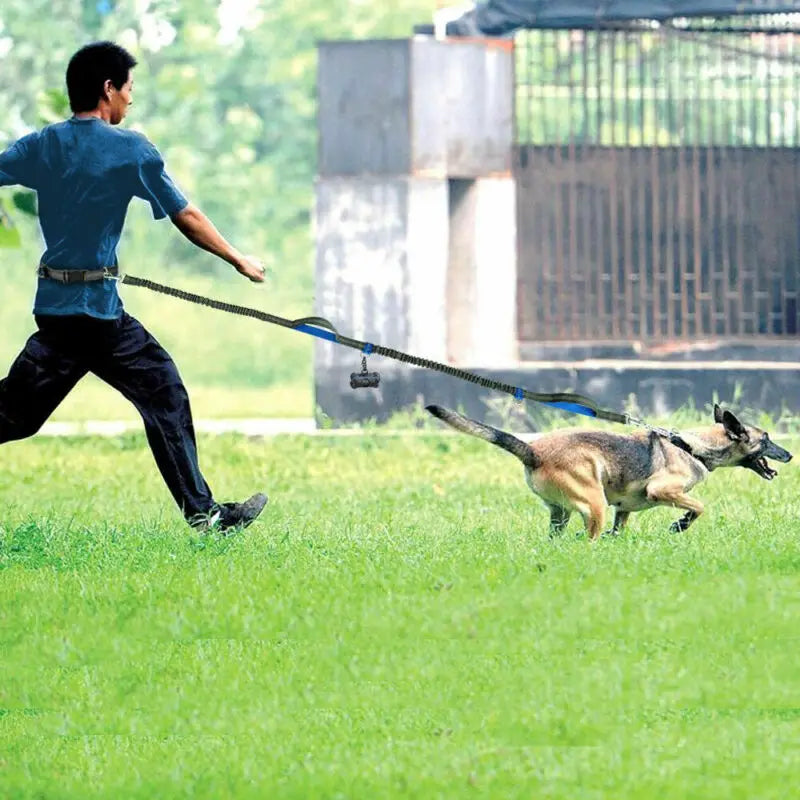 FlexRun Hands-Free Dog Leash