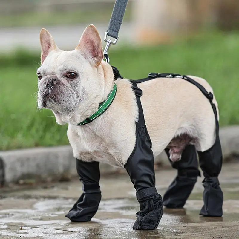 Waterproof Dog Boots – Adjustable, Anti-Slip Paw Protectors for Rain, Snow & Outdoor Walks, Keep Your Pup's Paws Clean & Safe!