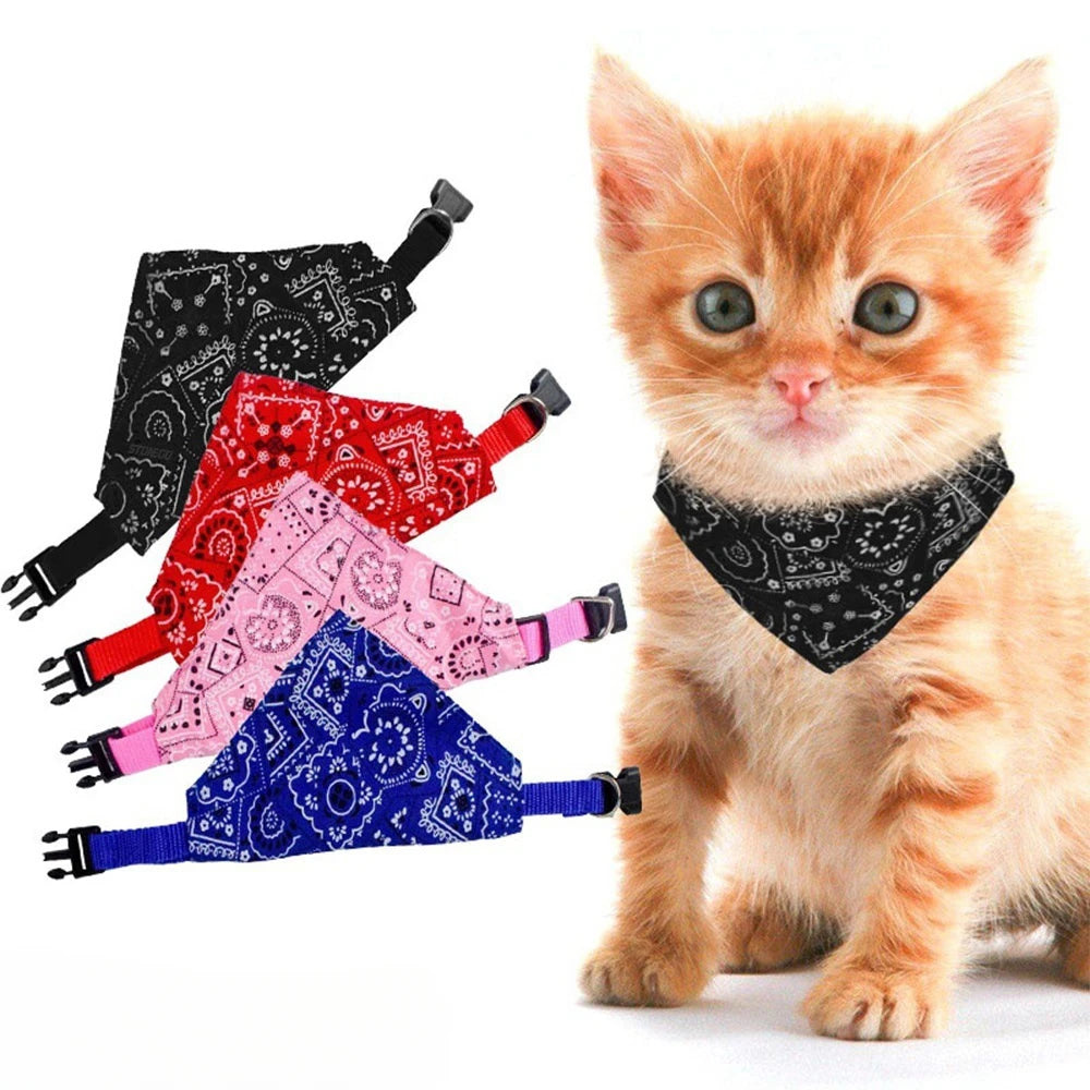 PawDrool™ Bandana