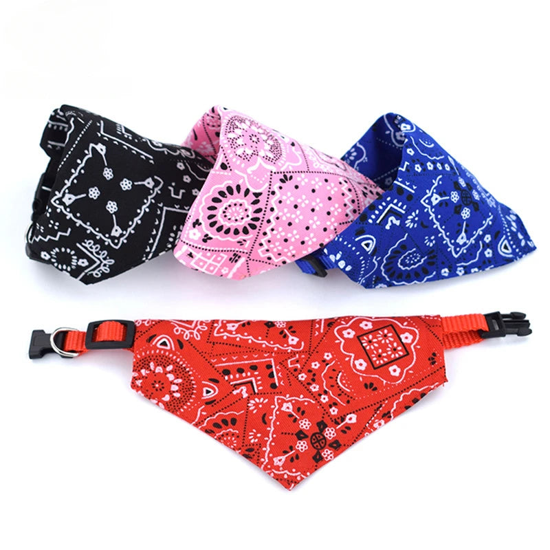 PawDrool™ Bandana