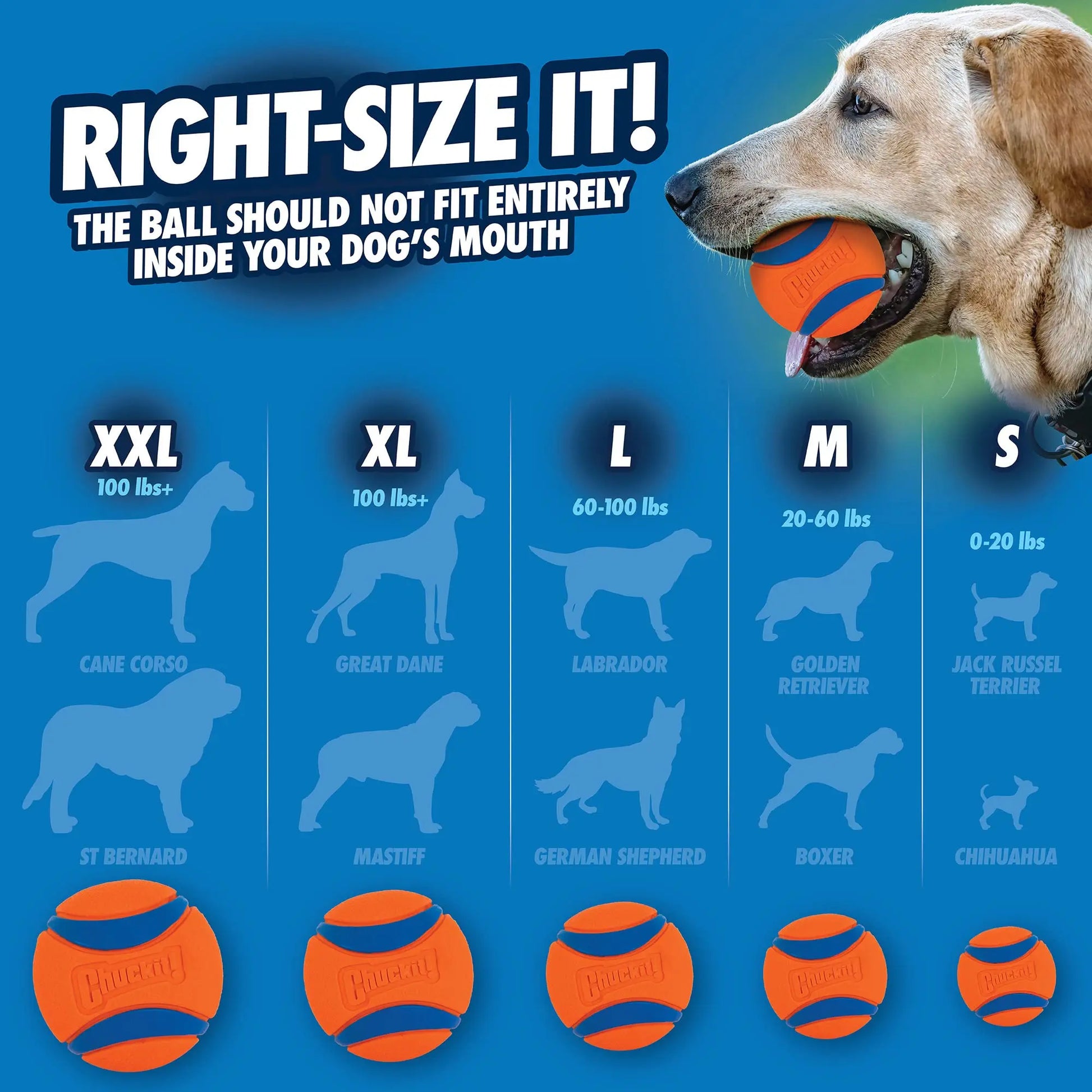 Chuckit! Ultra Dog Ball – High Bounce & Durable Play Toy