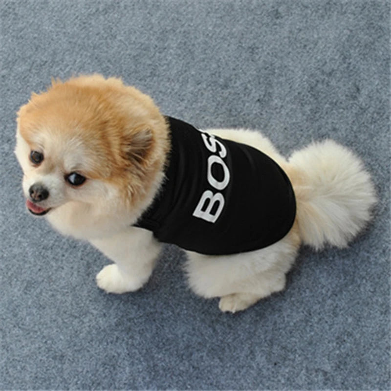 Security Dog Shirt – Summer Pet Vest for Small Dogs, Puppies & Cats