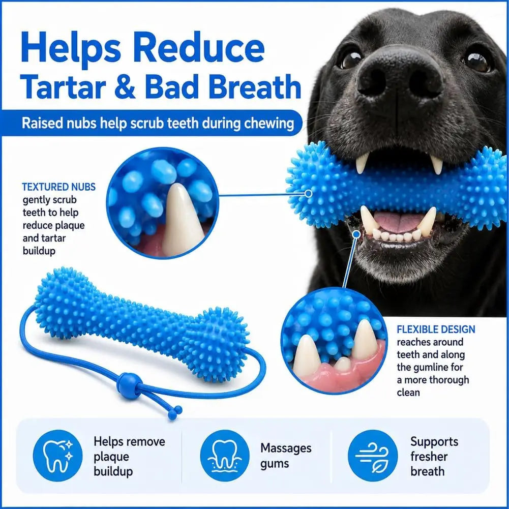 Dog Dental Chew Toy – Dual-Action Teeth Cleaning, Reusable Dog Toothbrush Toy