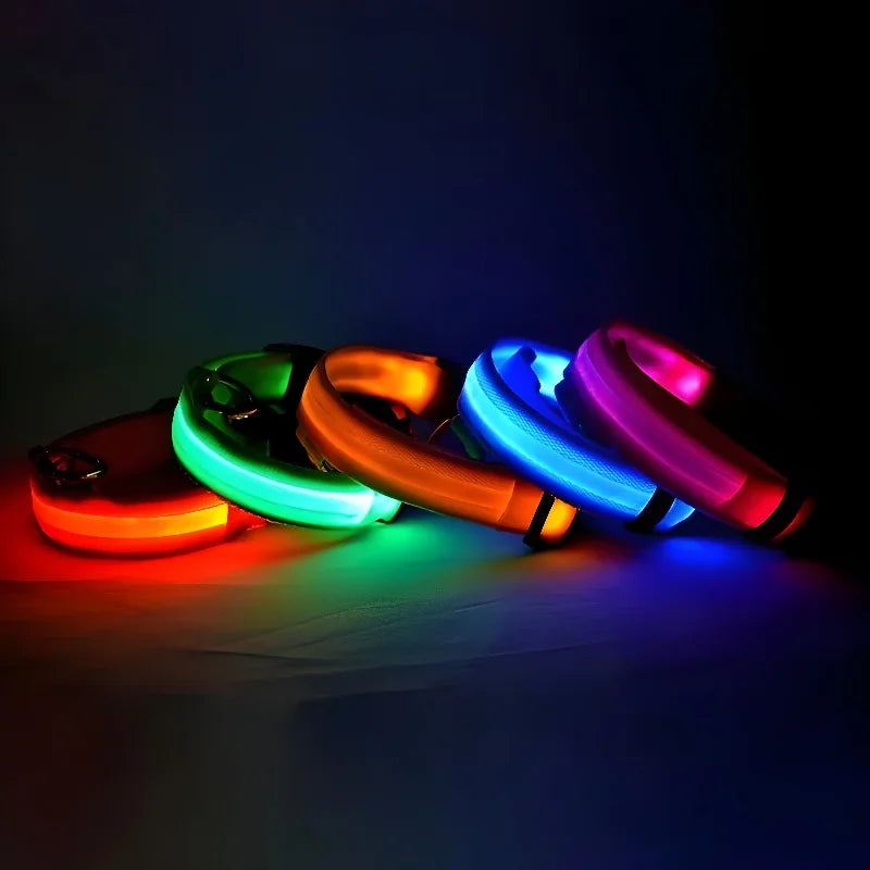 LED Nylon Dog Collar – Glow in the Dark, Night Safety Flashing