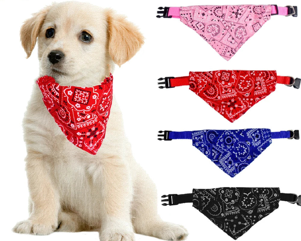PawDrool™ Bandana