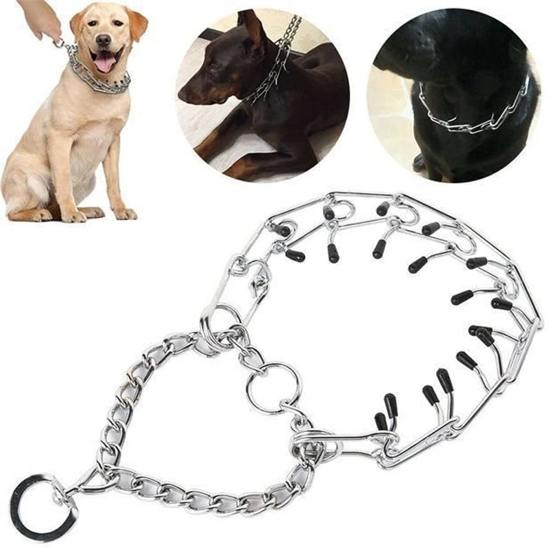 PawCommand Dog Training Chain