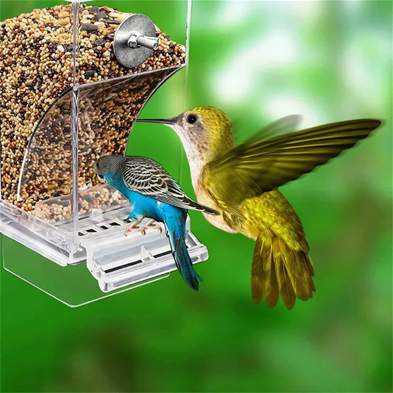 Acrylic No-Mess Automatic Bird Feeder & Drinker – Perch Container For Parrots, Budgerigars & Parakeets, Bird Cage Accessories