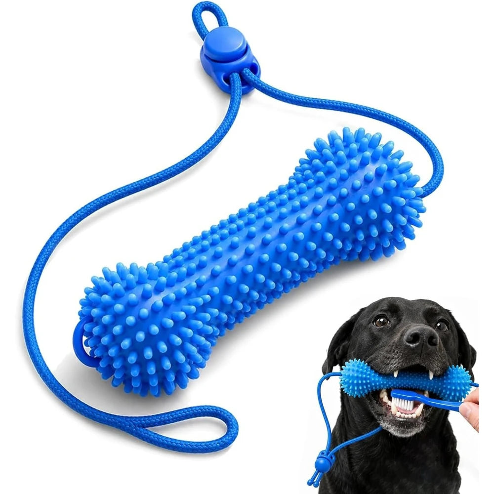 Dog Dental Chew Toy – Dual-Action Teeth Cleaning, Reusable Dog Toothbrush Toy