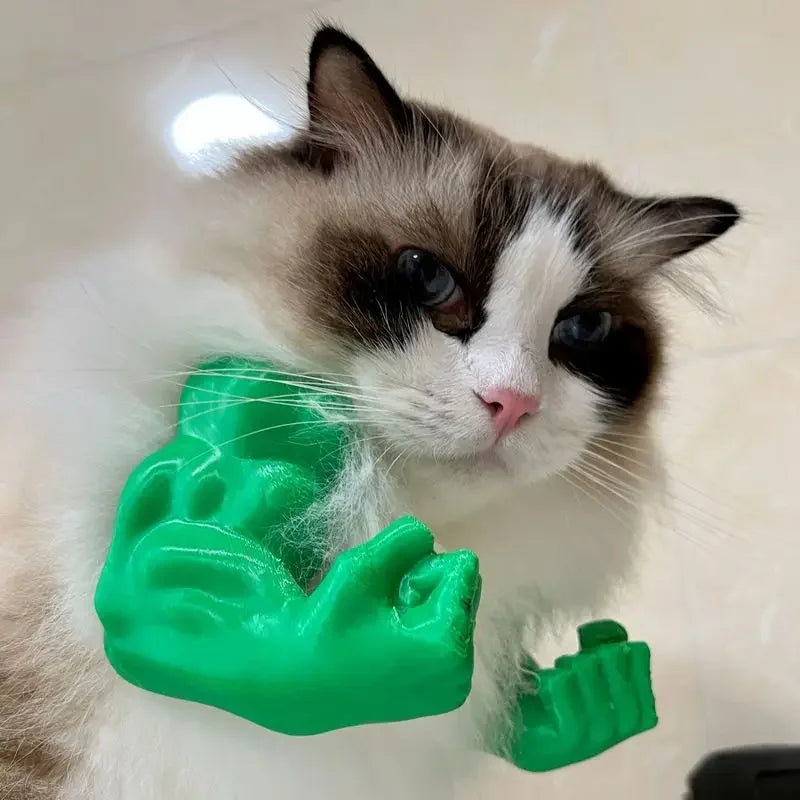 Gym Cat Charm