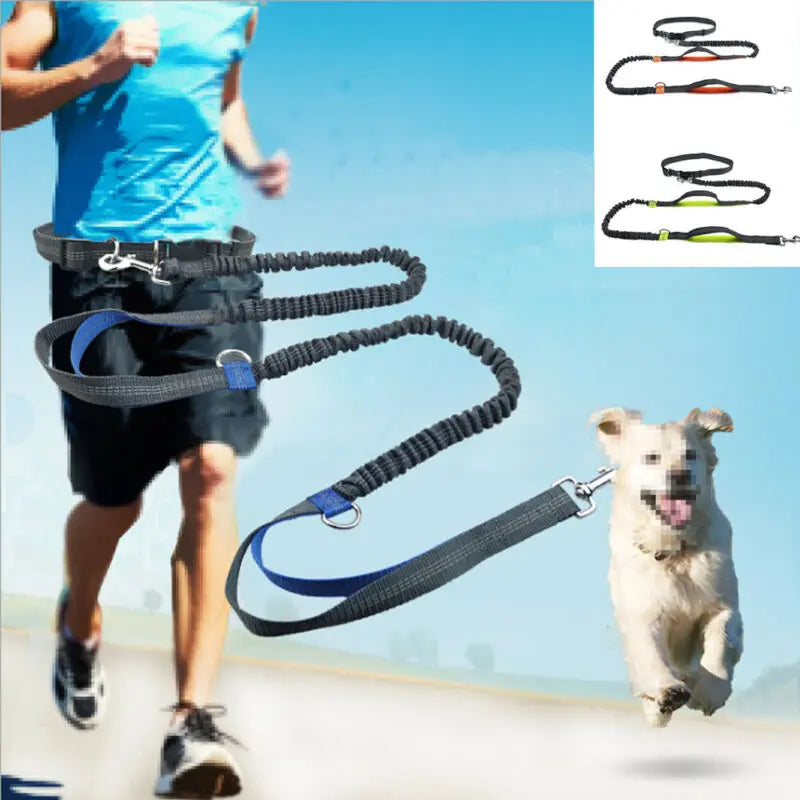 FlexRun Hands-Free Dog Leash