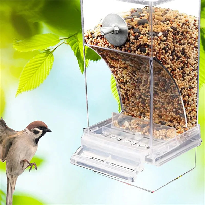 Acrylic No-Mess Automatic Bird Feeder & Drinker – Perch Container For Parrots, Budgerigars & Parakeets, Bird Cage Accessories