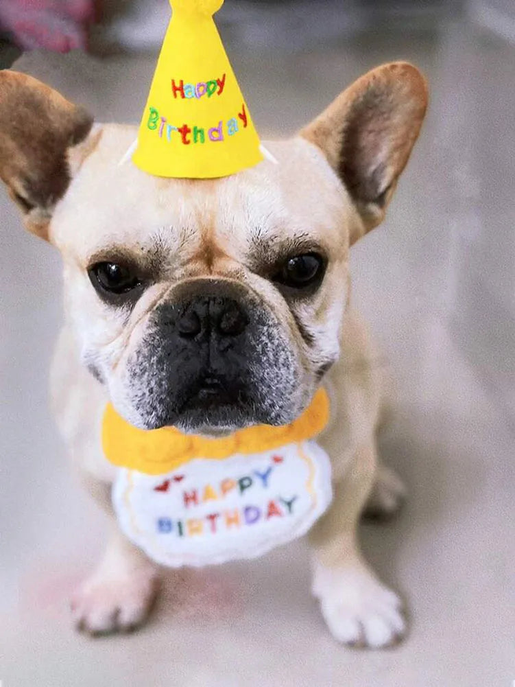 Paw-some Pet Birthday Set – Adjustable Party Hat & Bandana Scarf for Cats & Dogs – Perfect Puppy & Kitty Celebration Outfit!
