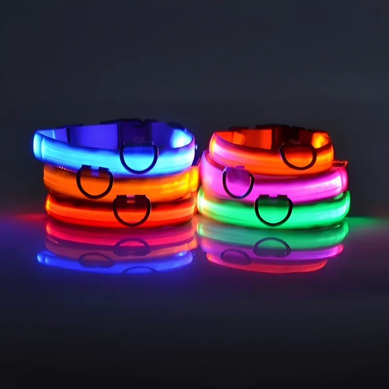 LED Nylon Dog Collar – Glow in the Dark, Night Safety Flashing