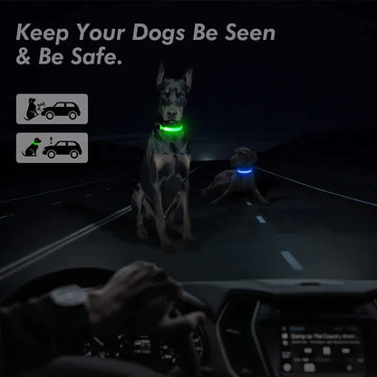 GlowSafe LED Dog Collar