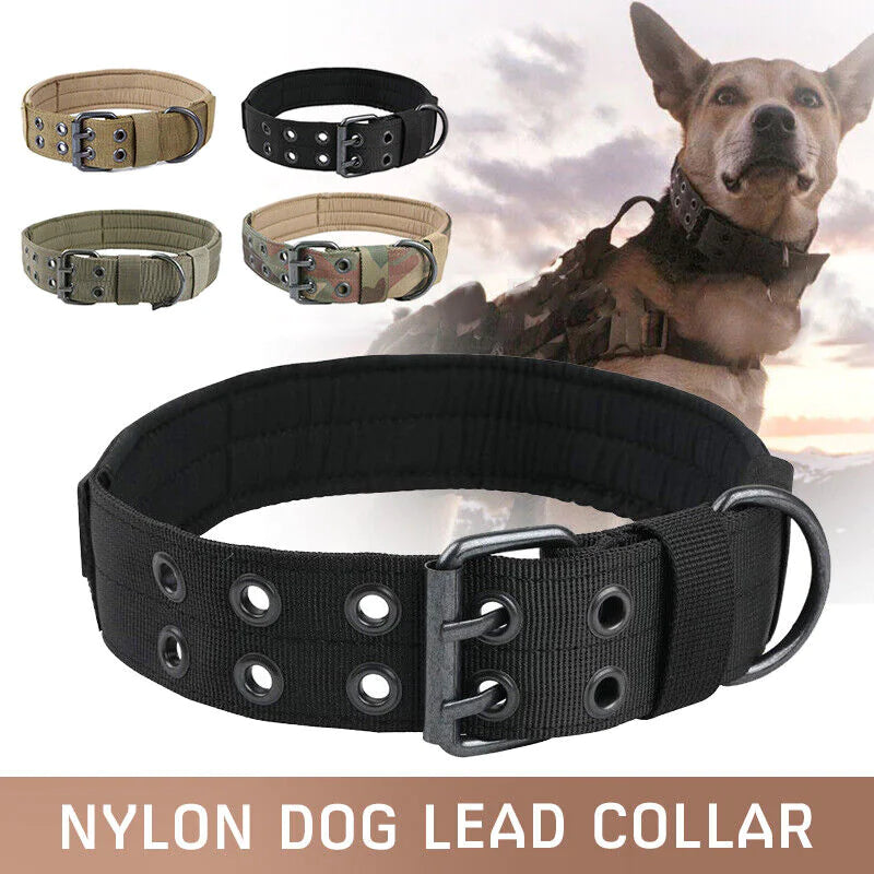 Combat Dog Collar