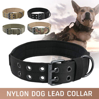 Combat Dog Collar