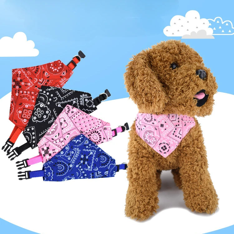 PawDrool™ Bandana